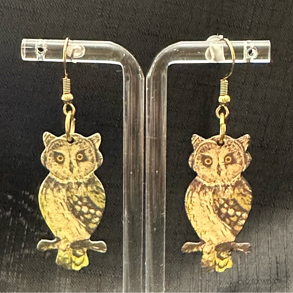 Brand new earrings